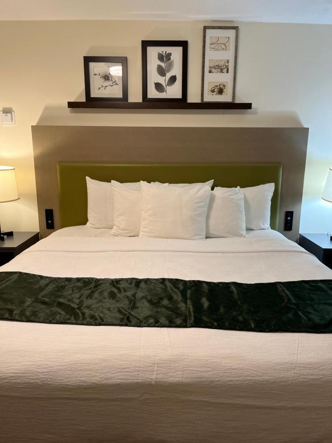 Pictured Rocks Inn And Suites มิวนิสซิง ภายนอก รูปภาพ